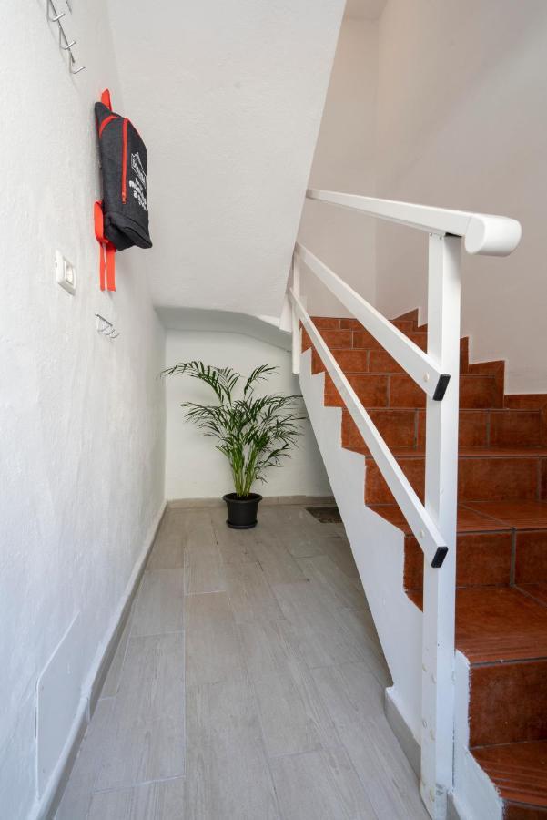 Spacious House With Huge Terrace Facing The Sea Bocacangrejo Εξωτερικό φωτογραφία